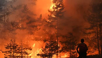 «Работа на опережение»: представитель «Авиалесоохраны» — о ситуации с лесными пожарами в России