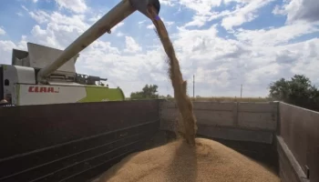 Глава Минсельхоза Патрушев: Экспорт зерна из России может снизиться